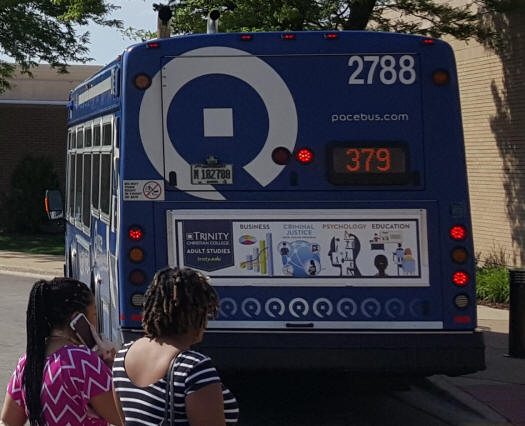 image of a Pace bus displaying a Tail ad on the back of the bus