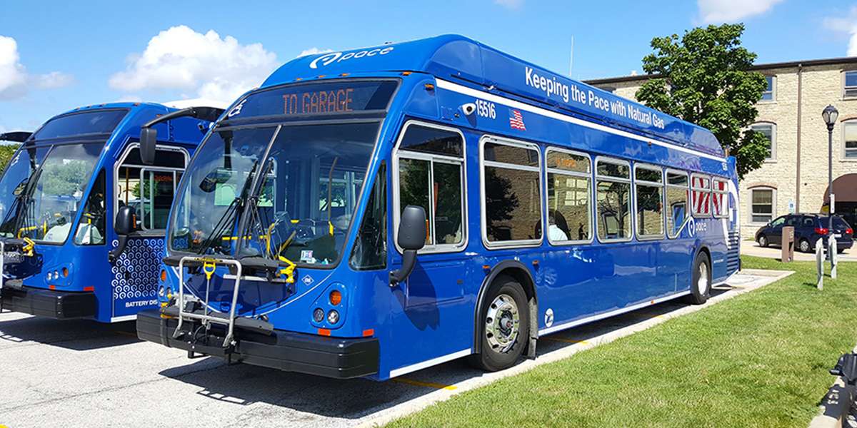 Image of CNG buses