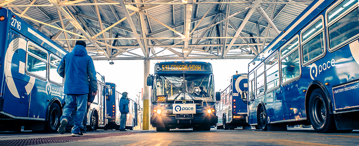 Image of rider and buses at Bus at Elgin Transit Center